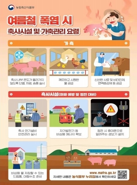 여름철 폭염시 축사시설 가축관리 요령. 제주시 제공