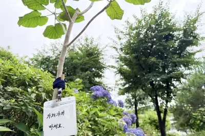 가져가지 마세요