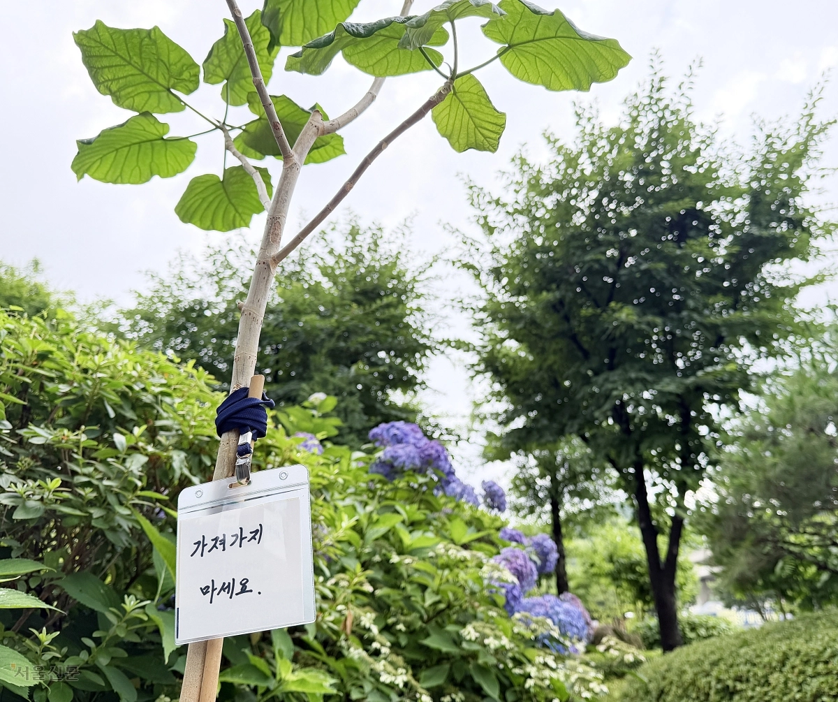 가져가지 마세요