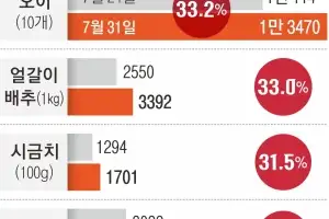 채소값 30%↑…폭염 이어지면서 1주일새 오이·열무·시금치 등 폭등