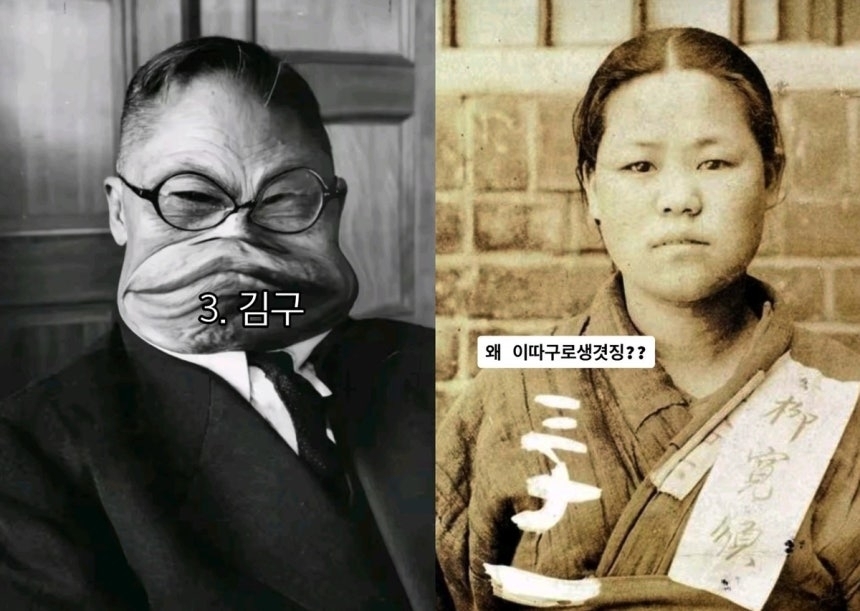 광복절을 약 열흘 앞둔 상황에서 각종 소셜미디어(SNS)에 독립운동가를 조롱하는 게시물이 확산하고 있는 것으로 나타났다. 독립운동가 조롱 게시물 일부. 서경덕 교수 인스타그램 캡처