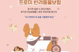부산시, 유기동물 입양 활성화…유기견 펫보험 무상 지원