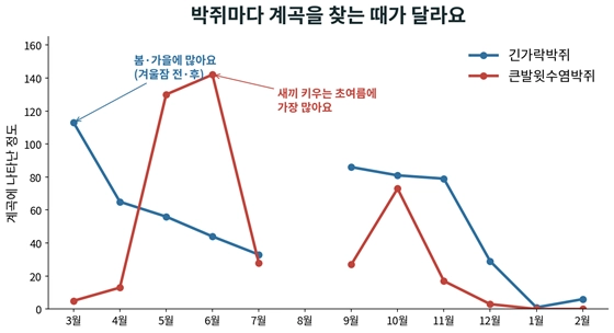 종별·시기별 출현 “박쥐마다 계곡을 찾는 때가 다르다”. 제주도 세계유산본부 제공
