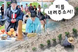 AI 시대의 기우제