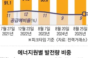 폭염에도 전력난 없다… 민간 생산·신재생·가전 ‘진화의 힘’