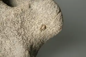 그림 아닌 ‘실제’였다…반구천 암각화 속 고래잡이 증거, 국가유산 지정