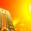 청양에 충남권 첫 ‘폭염중대경보’…최고 38℃ 이상 우려