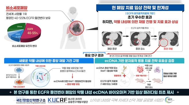 단국대 연구진, 폐암 재발 ‘분자표적항암제’ 내성 원인 규명