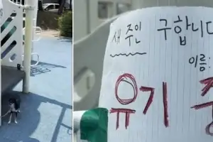 thumbnail - “유기 중, 새 주인 구해요”…폭염 속 놀이터에 반려견 묶어놓고 떠난 30대女 thumbnail - “유기 중, 새 주인 구해요”…폭염 속 놀이터에 반려견 묶어놓고 떠난 30대女