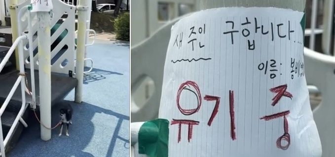 폭염 속 반려견을 놀이터에 버린 30대 여성이 입건됐다.