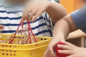 thumbnail - 어린이집 입소 상담 중 다친 한 살배기…대법 “원장 과실” thumbnail - 어린이집 입소 상담 중 다친 한 살배기…대법 “원장 과실”