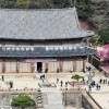 구례군, 3월 생활인구 전국 1위 비결은···3년 연속 기록