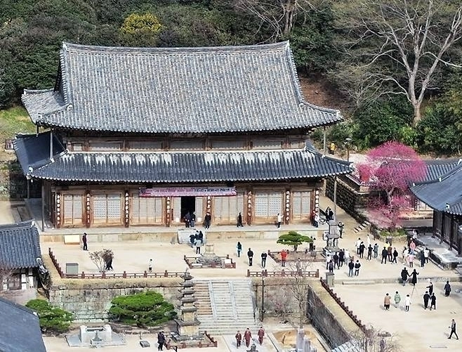 홍매화가 핀 구례 화엄사 전경.
