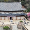 구례군, 3월 생활인구 전국 1위 비결은···3년 연속 기록
