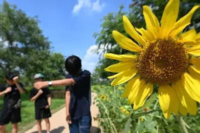 폭염 원인 이산화탄소 잡아 핵심 화학원료 만든다