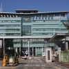 “마약범죄 연루”…재외동포 속여 123억 가로챈 보이스피싱 일당 구속