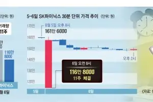 SK하이닉스 단 11주로 시장 왜곡… 프리마켓發 ‘가짜 하한가’