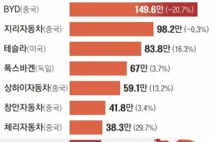 상반기 전기차 中침체에 1위 BYD 판매 21% 감소