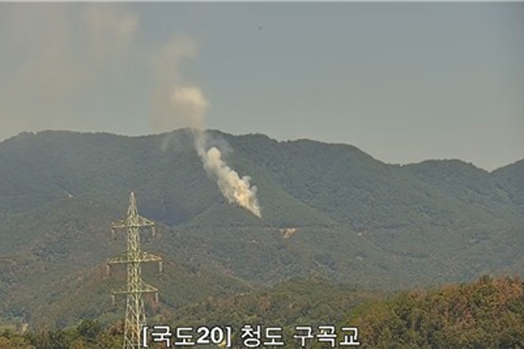 청도 산불. 산림청 제공
