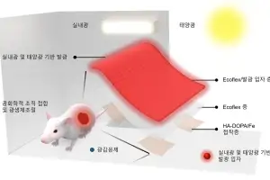 “일상 속 빛으로 상처 치료”…포스텍 연구팀, 피부 부착형 패치 개발