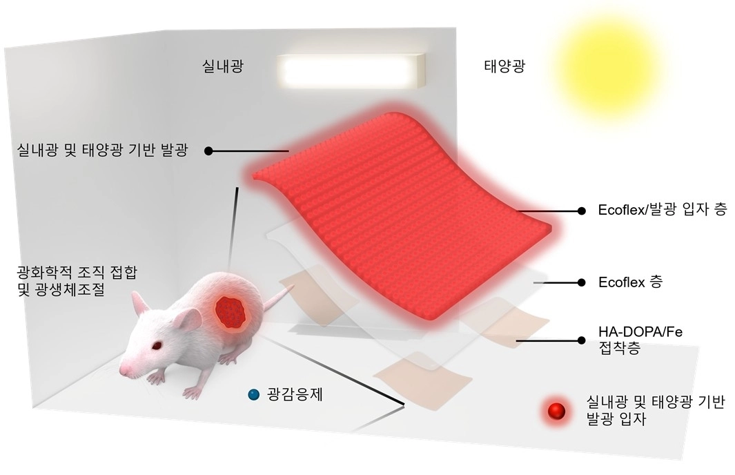 발광 입자를 이용해 만든 상처 치료용 패치 연구 이미지. 포스텍 제공