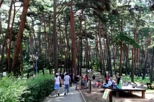 “여행비 50% 환급받으세요”…태안군, 9월부터 반값 여행