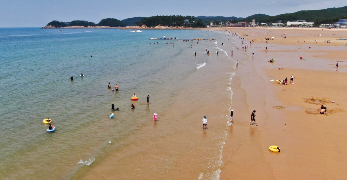충남 태안군 만리포 해수욕장. 군 제공