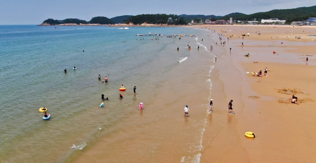 충남 태안군 만리포 해수욕장. 군 제공