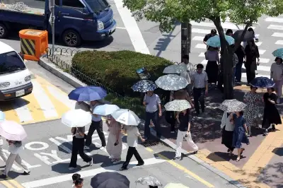 세종시, 165개 교차로 신호 ‘내비’에서 실시간 서비스