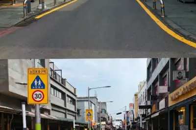 모두를 위한 디자인은 이런 것?… 제주 노인보호구역에 ‘형광녹색’ 전국 첫 시도