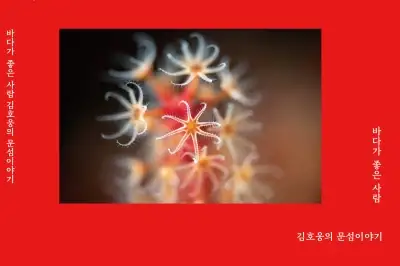 숨이 멈췄던 시간, 문섬에서 다시 삶을 셔터에 담다… 김호웅 작가 출판기념회