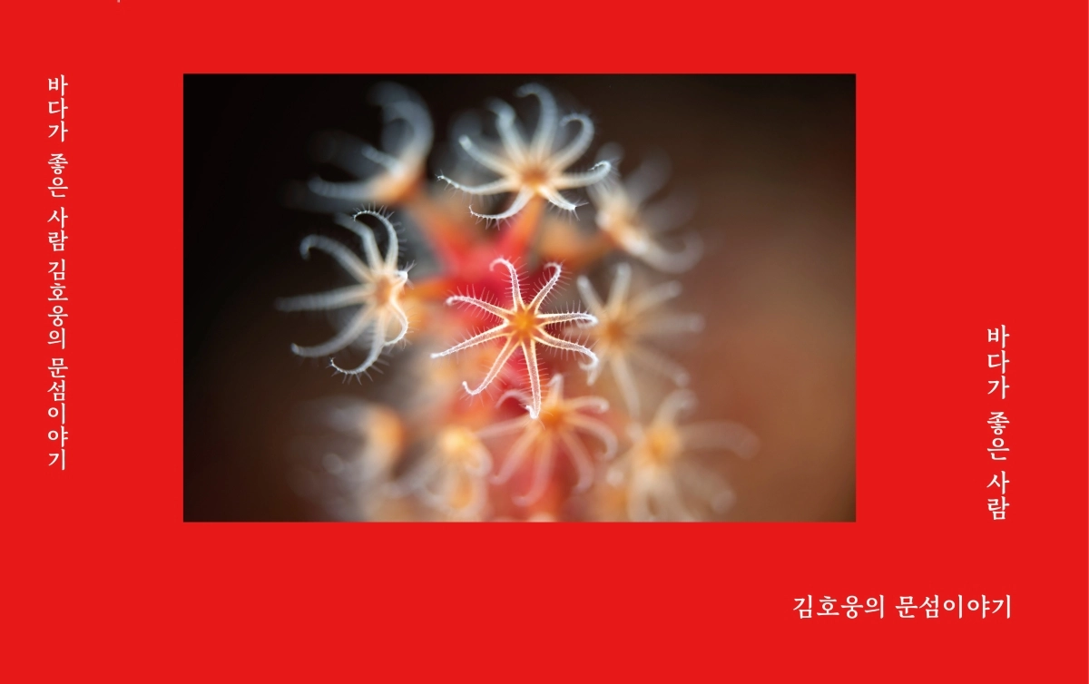 ‘바다가 좋은 사람, 김호웅의 문섬이야기’ 책표지