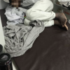 인천공항에서 1년 지낸 난민 아동…인권위 “교육·발달권 보장해야”