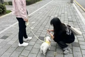 광진, 말썽쟁이 반려견 집에서 교육해 준다