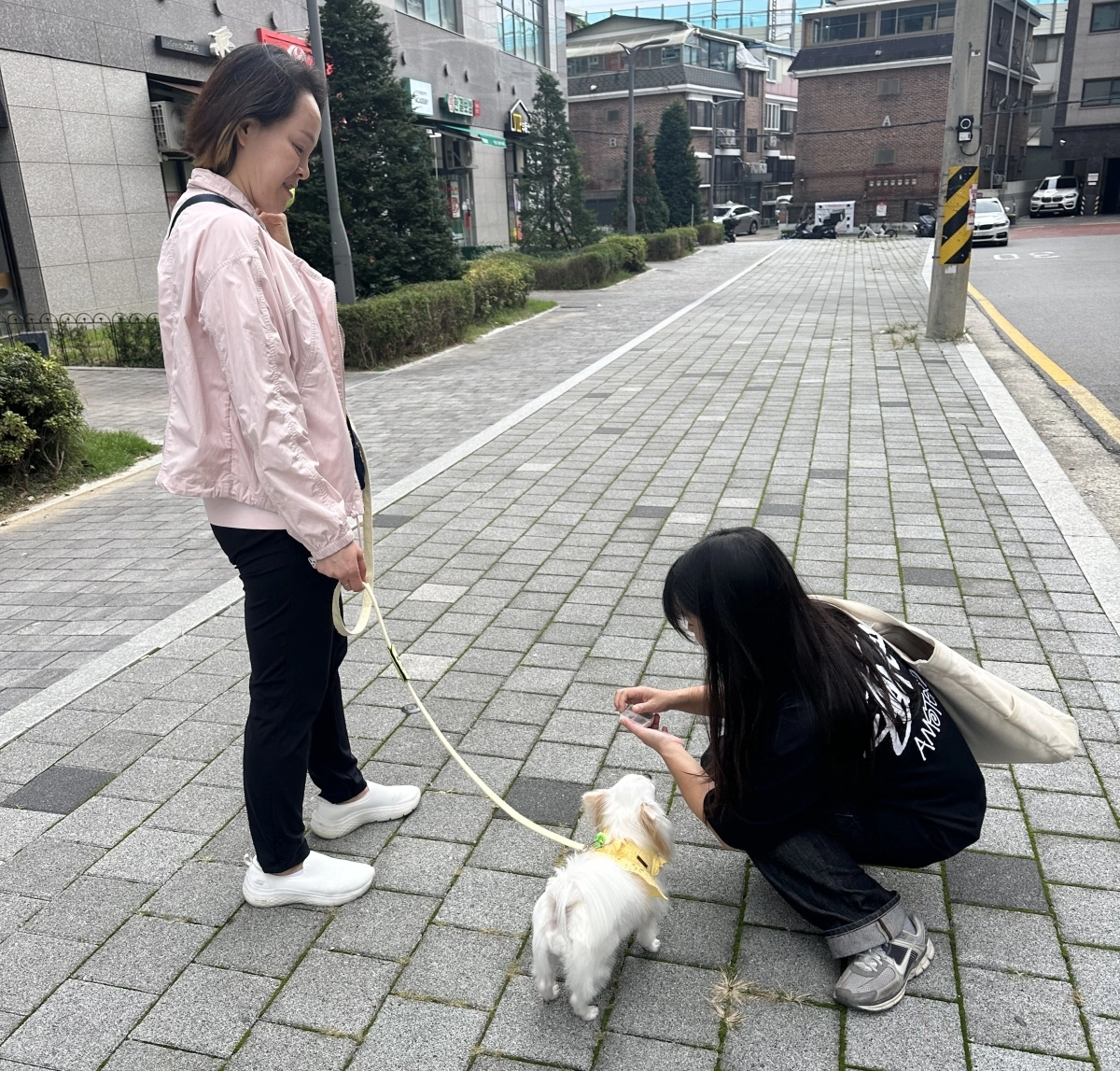 서울 광진구 ‘찾아가는 우리동네 동물훈련사’ 프로그램에서 전문훈련사가 반려동물의 문제행동을 살펴보고 있다. 광진구 제공