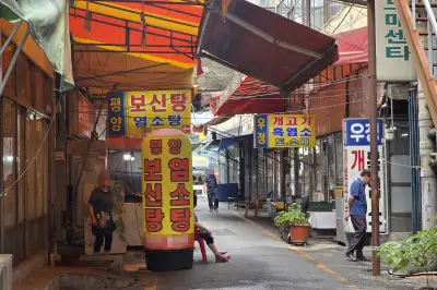 개 식용 금지 前 마지막 복날… 업주들 “우째 살라고”