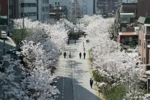 대법 “서울시, 철도공단에 경의선숲길 사용료 421억원 지급해야”