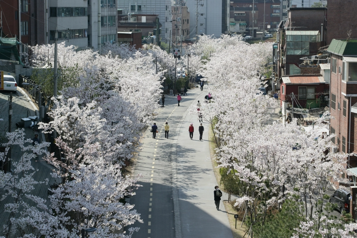 서울 마포구 경의선숲길. 서울시 제공