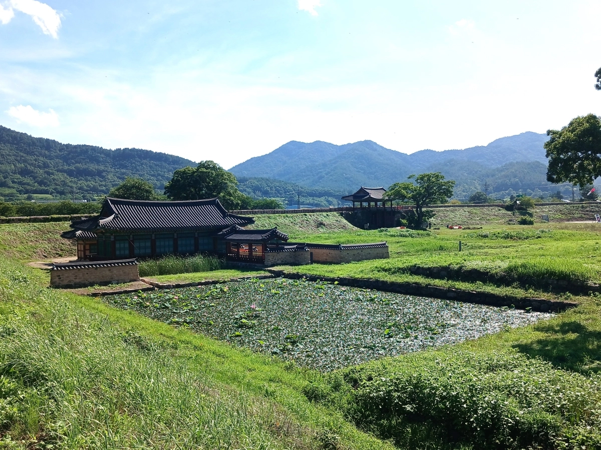 연회 및 휴식 공간으로 쓰인 연희당. 연지에 연꽃이 가득 피었다.