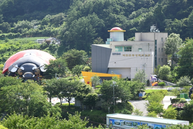 곤충의 신비에 빠져 볼까…예천부터 대전·의령까지 ‘곤충 체험’ 풍성