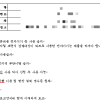 모텔 가두고 “신체검사”라며 나체사진 요구…67억 뜯은 보이스피싱 조직