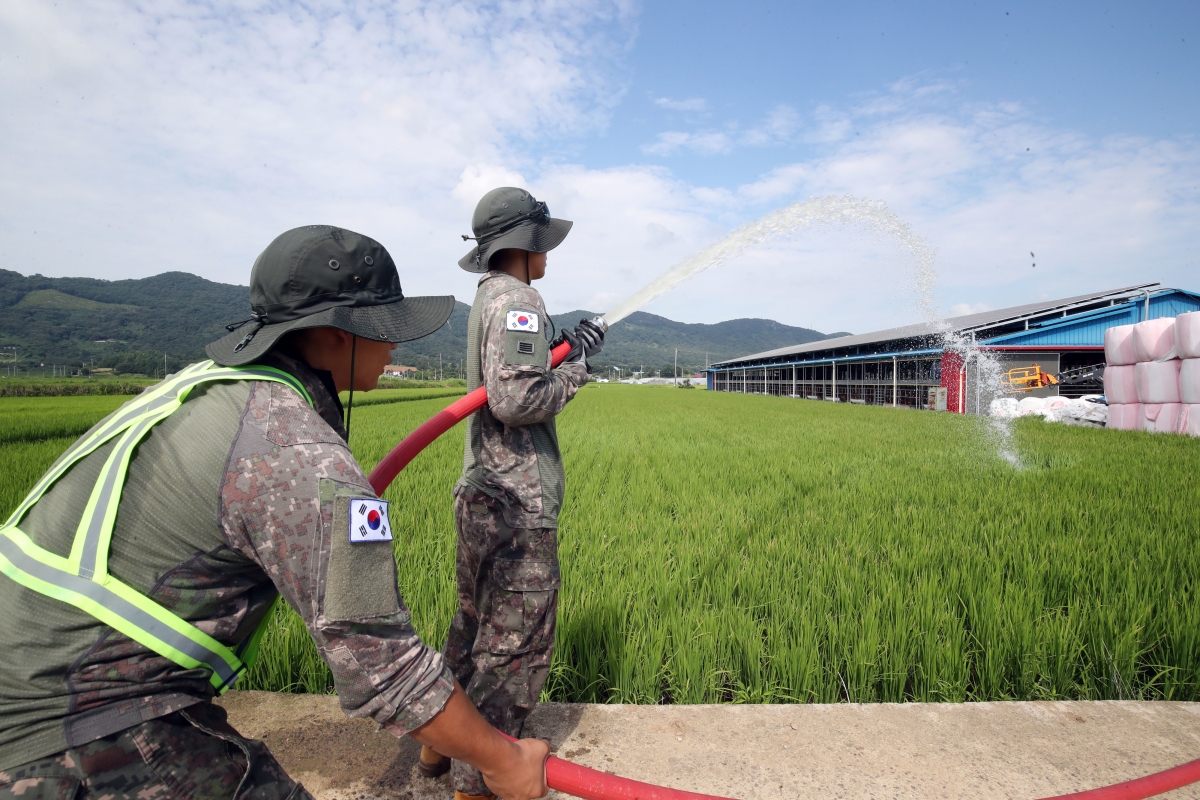 육군 31사단, 나주 가뭄 대민지원
