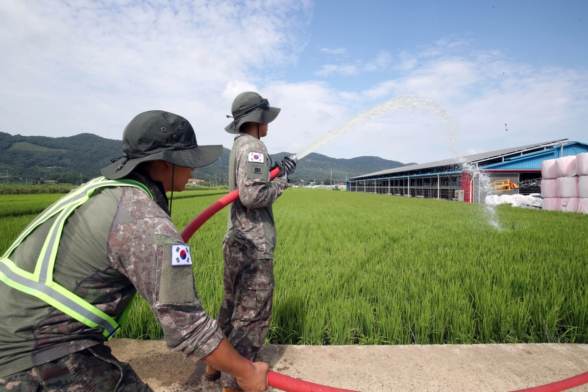육군 31사단, 나주 가뭄 대민지원