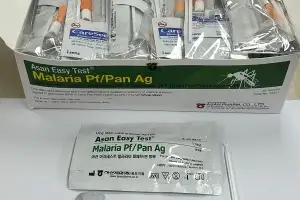 양천, 무료 자가진단·신속검사로 말라리아 막는다