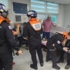 무더위에 사나워진 말벌, 외연도서 등산객 6명 벌 쏘임