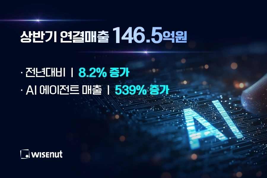 (와이즈넛 제공)