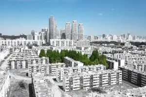 40년 아름드리 나무들, 아파트 재개발되면 어디로 갈까