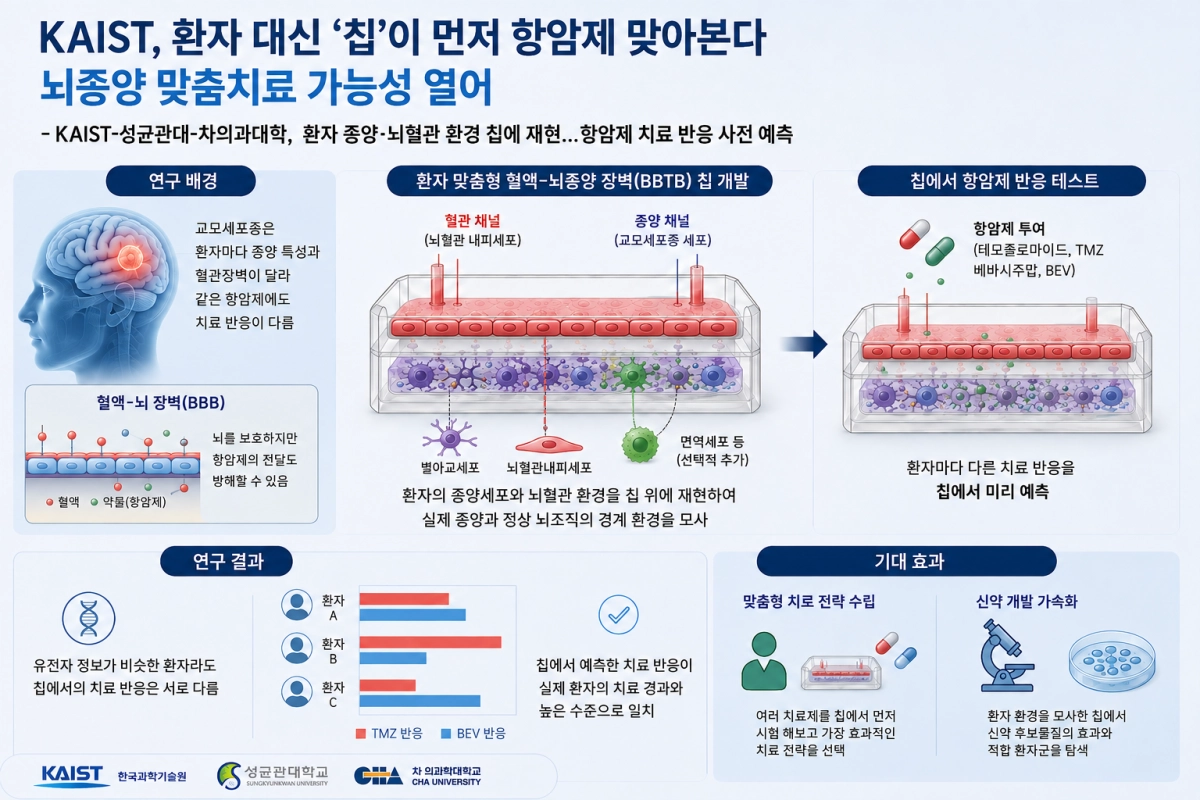 미세유체 혈액-뇌종양 장벽 칩을 이용한 환자맞춤형 약물 평가  카이스트 제공