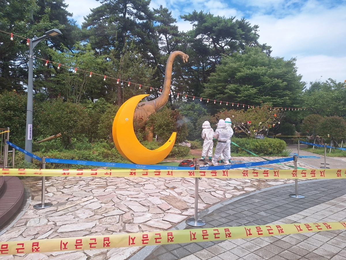 부산 서구 송도해상케이블카 주변에서 소방대원이 벌집을 제거하고 있다. 부산소방재난본부 제공