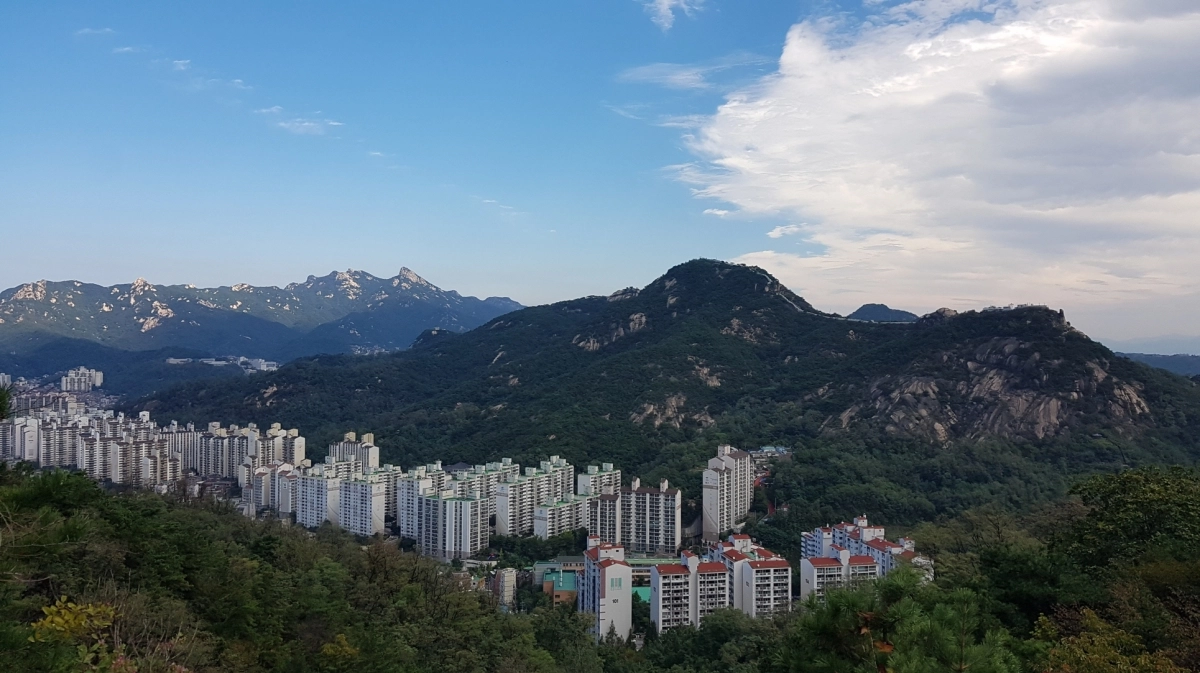 숲속의 아파트. 국립산림과학원 제공